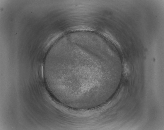 X0000078300014200611101145