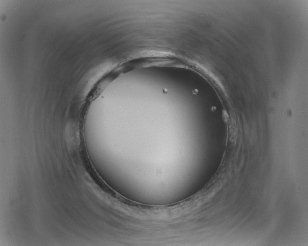 X0000078300015200611101145