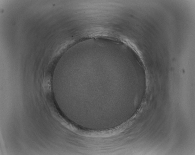 X0000078300017200611101145