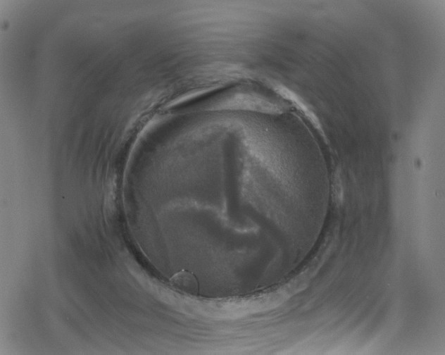 X0000078300018200611101145