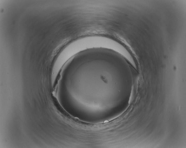 X0000078300019200611101145