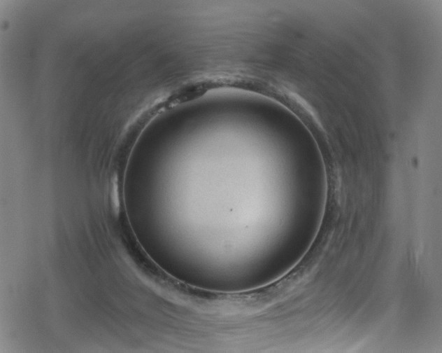 X0000078300020200611101145