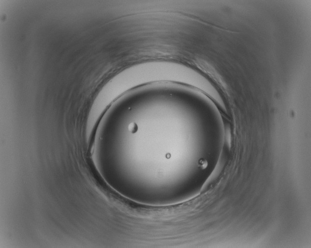 X0000078300021200611101145