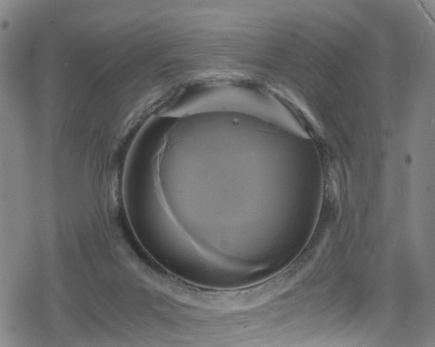 X0000078300023200611101145