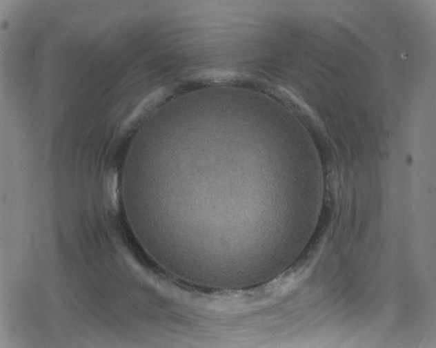 X0000078300024200611101145