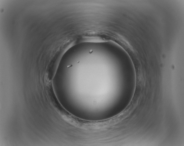 X0000078300025200611101145