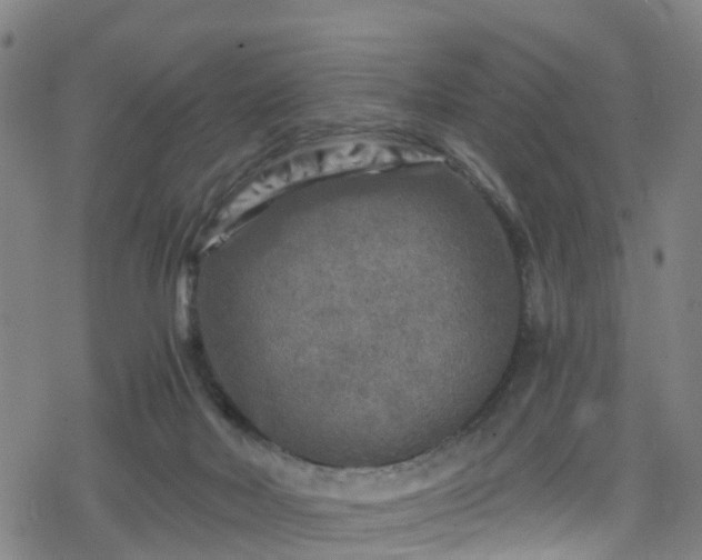 X0000078300026200611101145