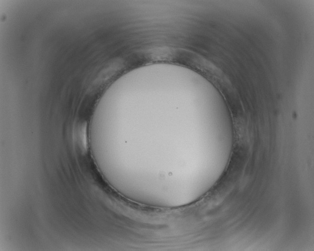 X0000078300028200611101145