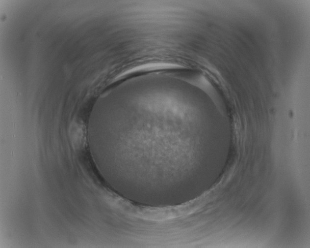 X0000078300029200611101145