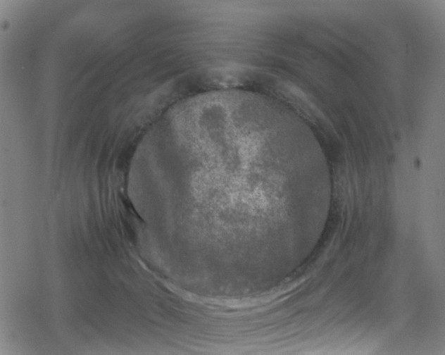 X0000078300030200611101145