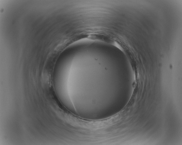 X0000078300031200611101145