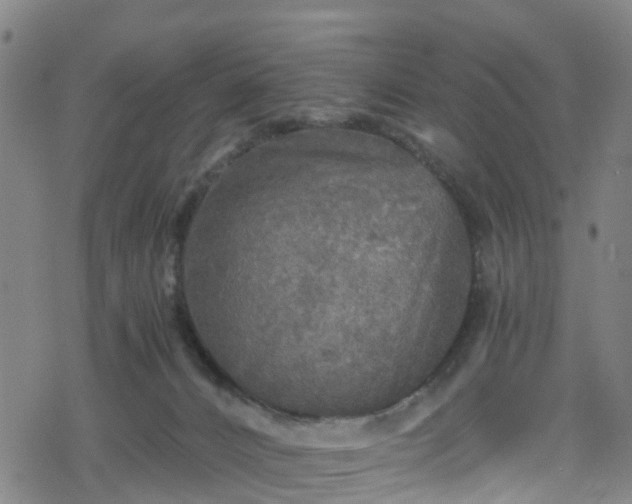 X0000078300032200611101145