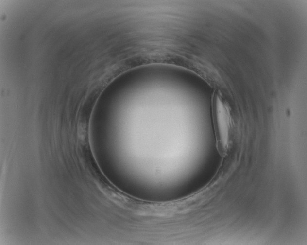 X0000078300033200611101145