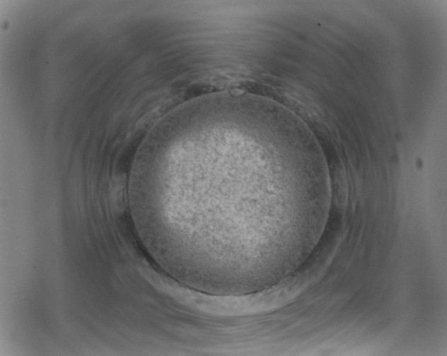 X0000078300034200611101145