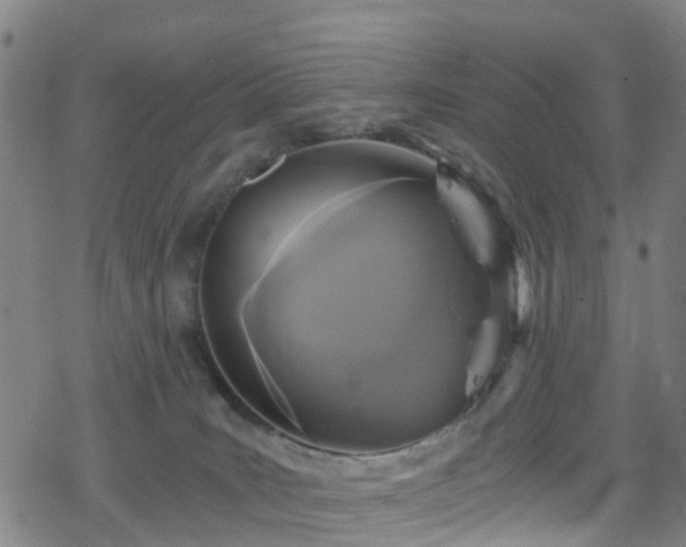 X0000078300035200611101145