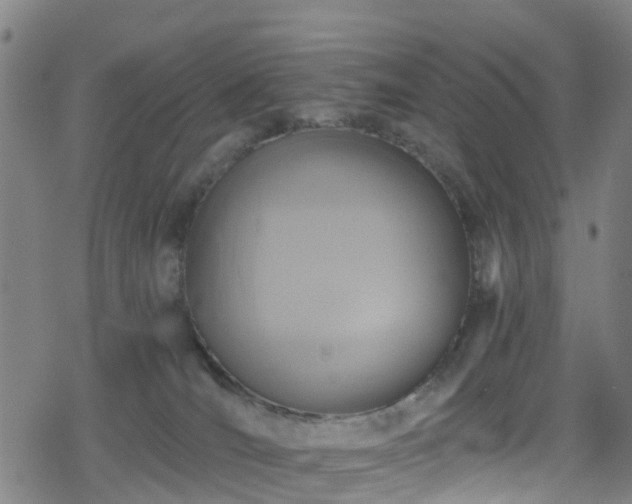 X0000078300036200611101145