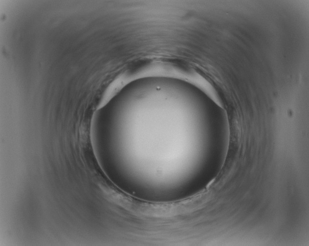 X0000078300037200611101145