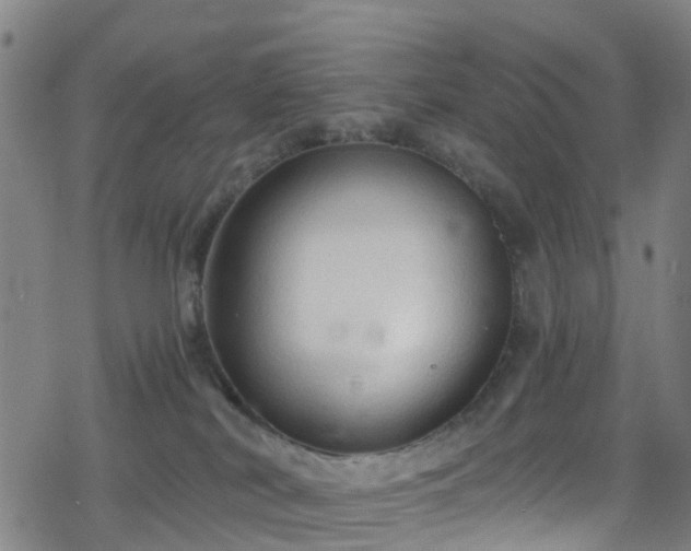 X0000078300038200611101145