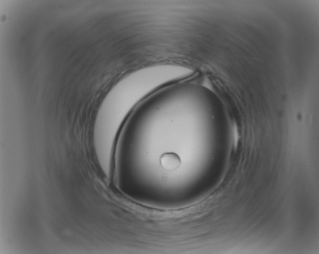 X0000078300039200611101145