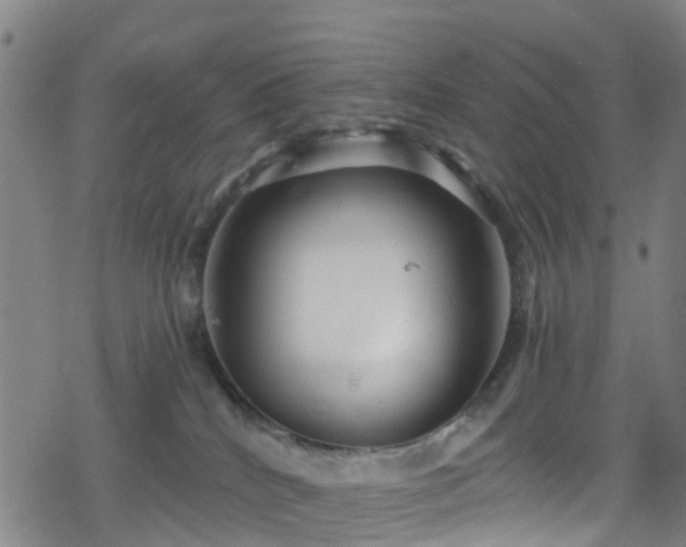 X0000078300040200611101145