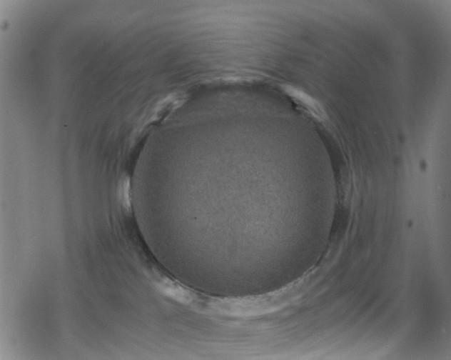 X0000078300041200611101145