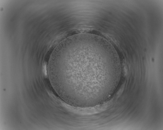 X0000078300042200611101145