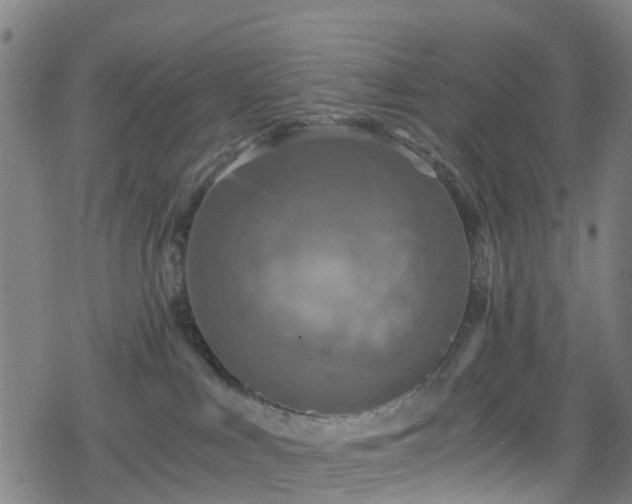 X0000078300043200611101144