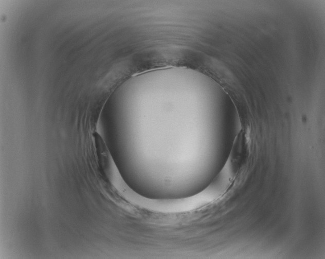 X0000078300045200611101144