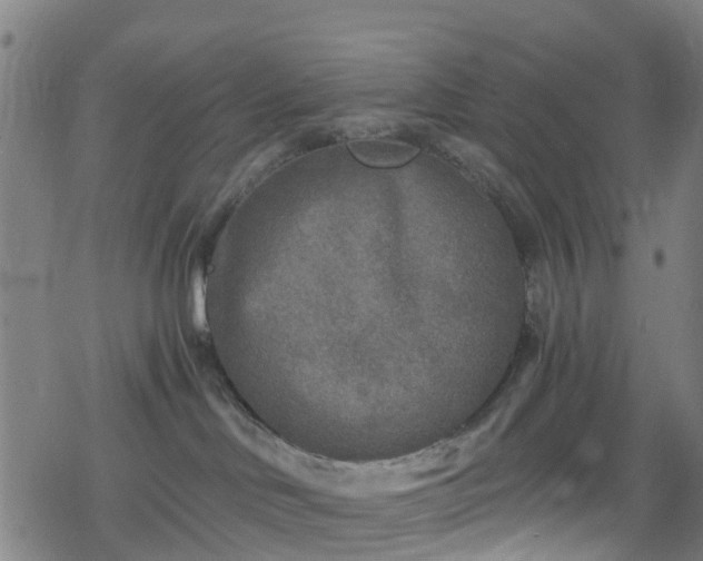 X0000078300046200611101144