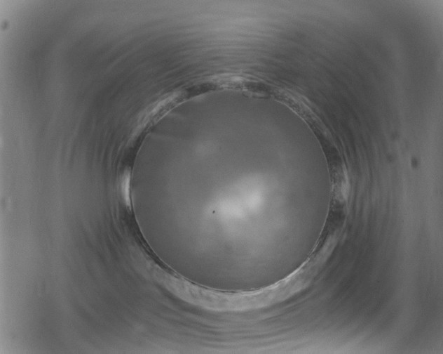 X0000078300047200611101144