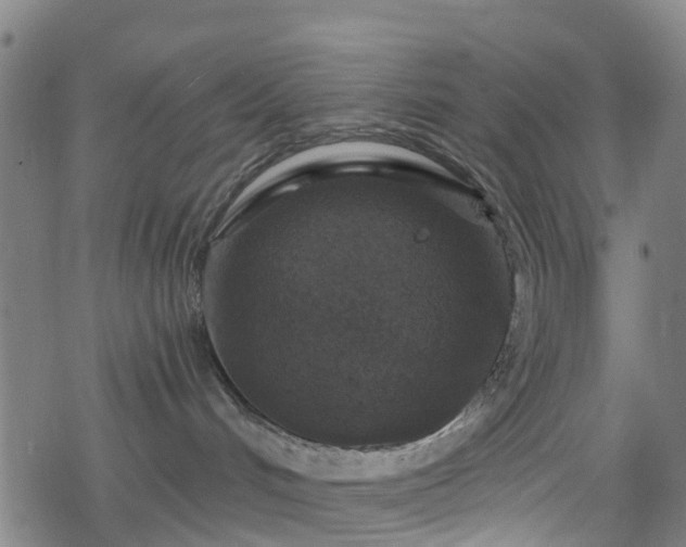 X0000078300048200611101144