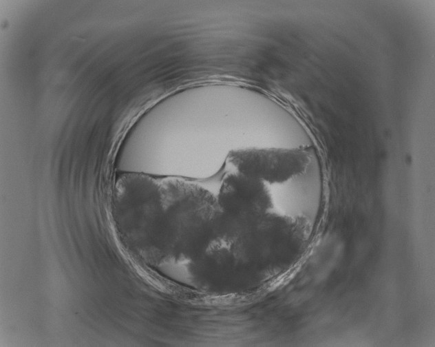 X0000078300049200611101144