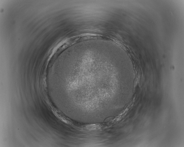 X0000078300050200611101144