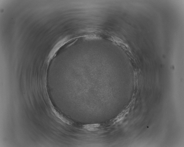 X0000078300051200611101144