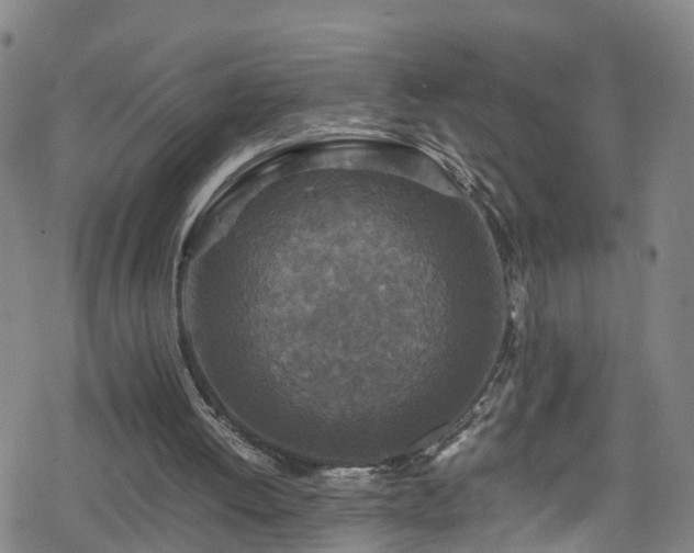 X0000078300052200611101144