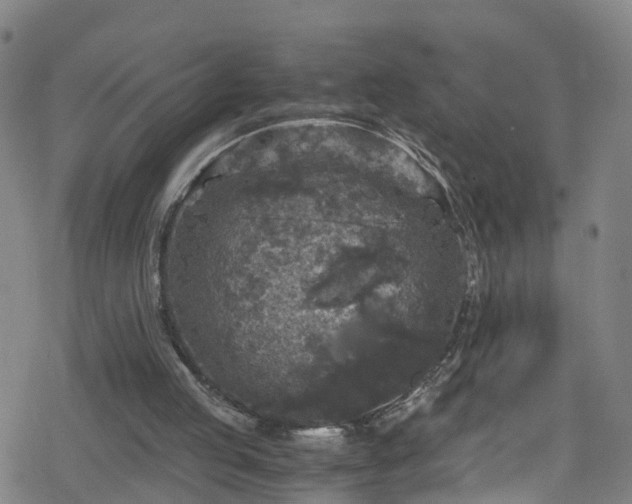 X0000078300053200611101144