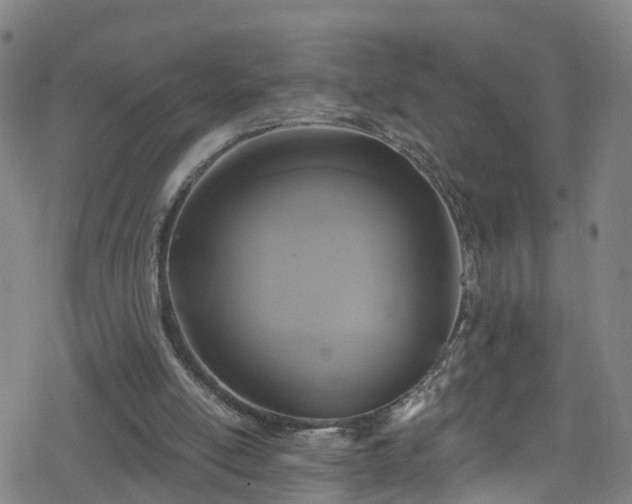 X0000078300054200611101144