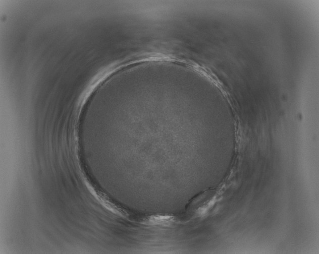 X0000078300055200611101144