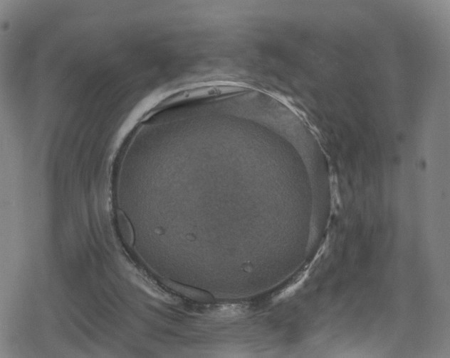 X0000078300056200611101144