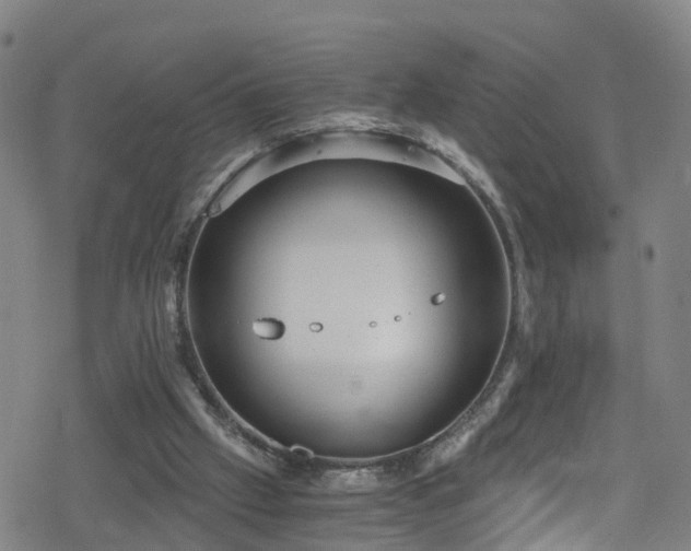 X0000078300057200611101144