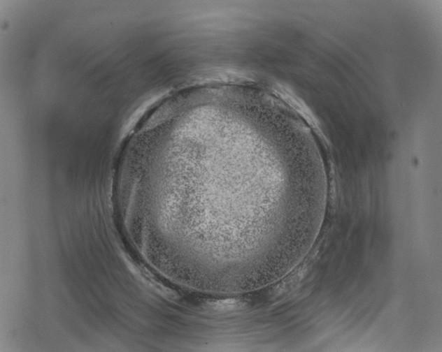 X0000078300058200611101144