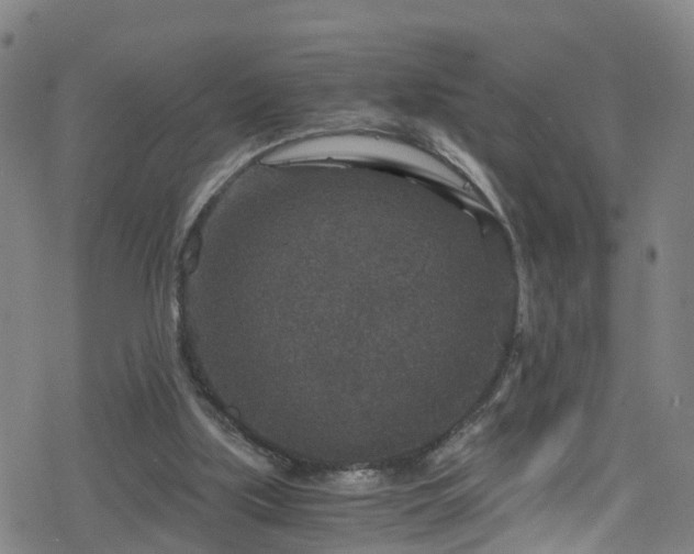 X0000078300059200611101144