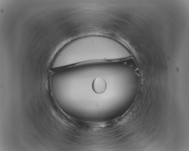 X0000078300060200611101144