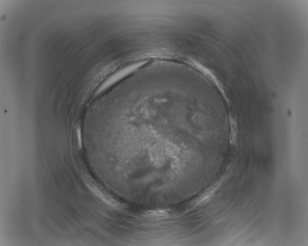 X0000078300061200611101144