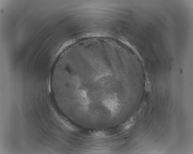 X0000078300062200611101144