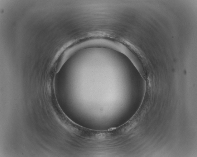 X0000078300064200611101144