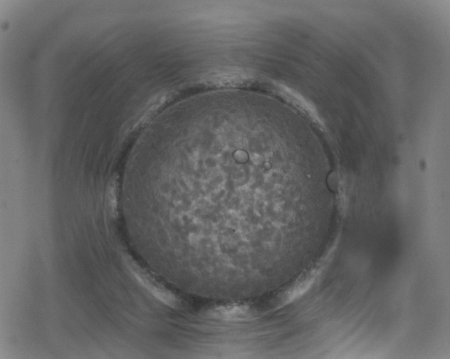 X0000078300065200611101144