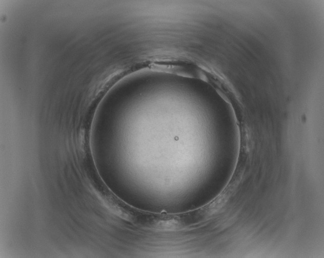 X0000078300066200611101144