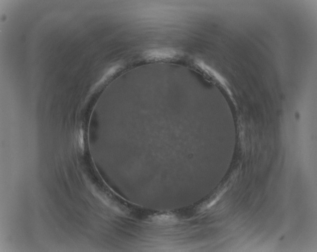 X0000078300067200611101144