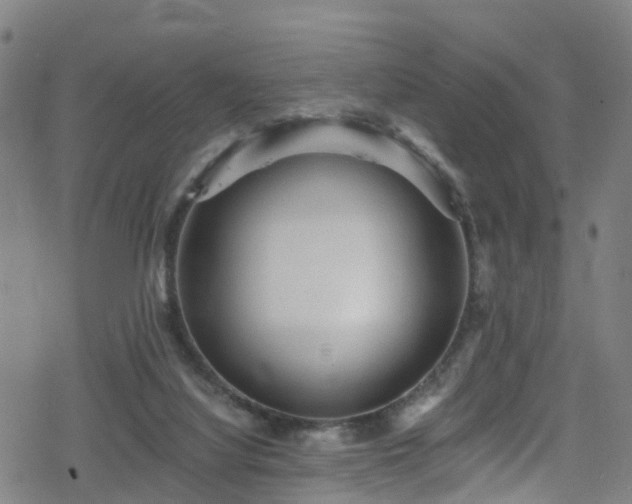 X0000078300068200611101144